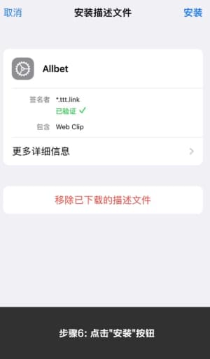 欧博iOS应用安装步骤示意图6