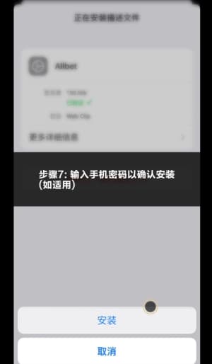 欧博iOS应用安装步骤示意图7